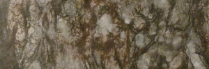 P3760430