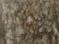 P3760430