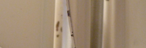 P3200598