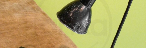 gras2