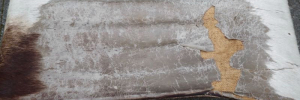 P3520022