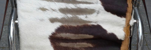 P3520023