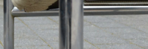 P3520027