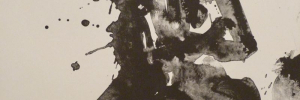 P3360295