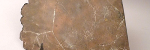 P3300221