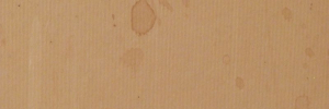 P3300210