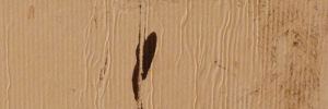 P3300211