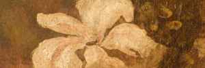 P2920135
