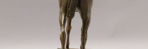 P3080951