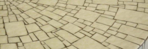 P1710254