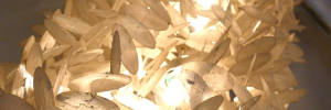 muschellampe3