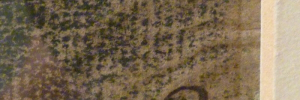 P4080173