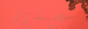zendt32