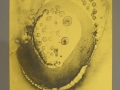 zendt22