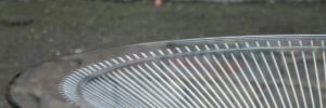 DSC00525