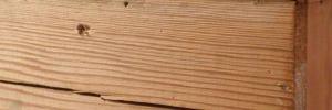 P3230346