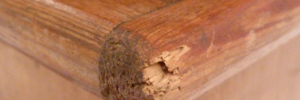 P3230347