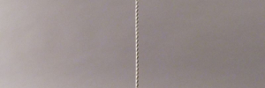 P3170185