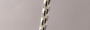 P3170189