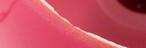 P3170191