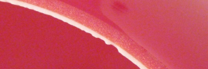 P3170192