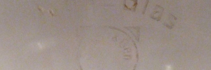 P3360491