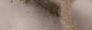 P3360497