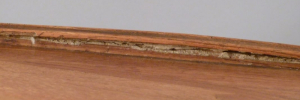 P3980499