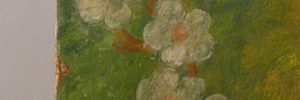 P3550315