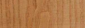 P3380047