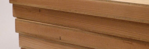 P3380050