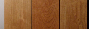 P4050294