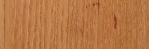 P4050295