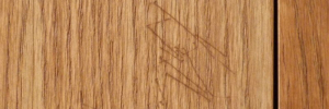 P4050296