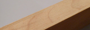 P4050300