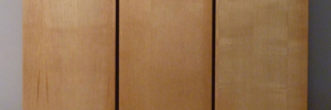 P4050305