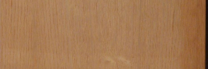 P4050306