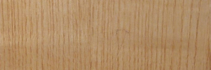 P4050307