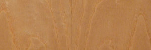 P3290555