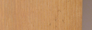 P3290582
