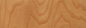 P3320119