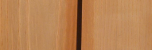P3320131