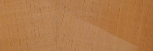 P3320137
