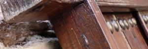 P3060629