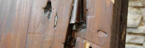 P3060637