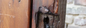 P3060638
