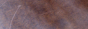 P3060695