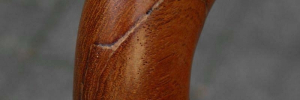 P3060698
