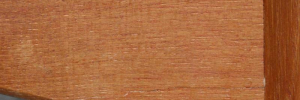 P3060701