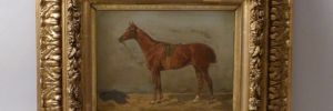 P4150051
